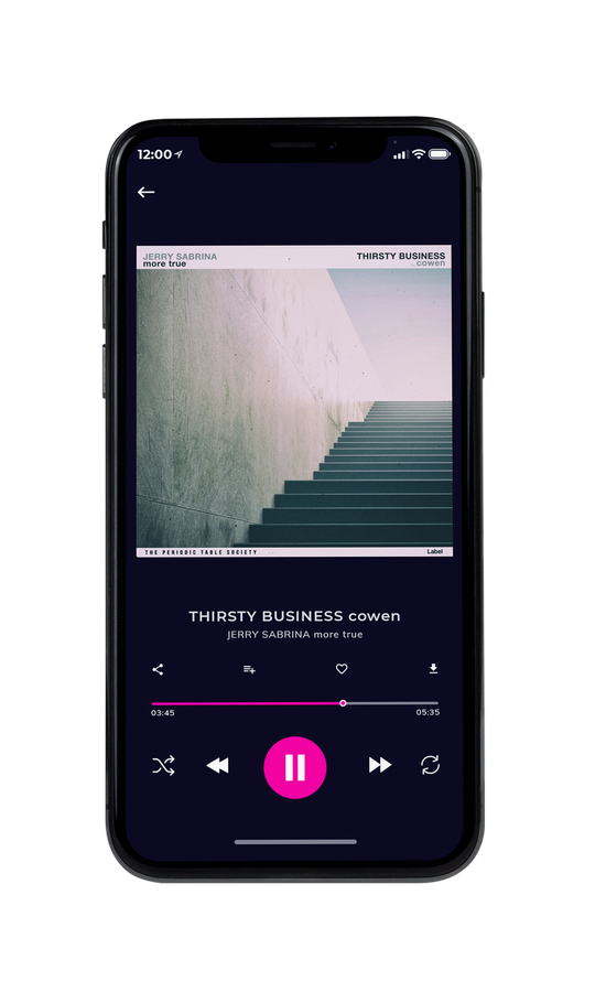 Tablet view of Premade Contemporary Music Album Cover - Silver Rust #7391 | AlbumArtZone*