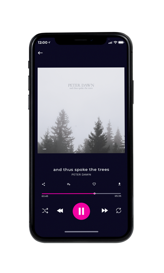 Tablet view of Premade Contemporary Music Album Cover - Westar #7477 | AlbumArtZone*