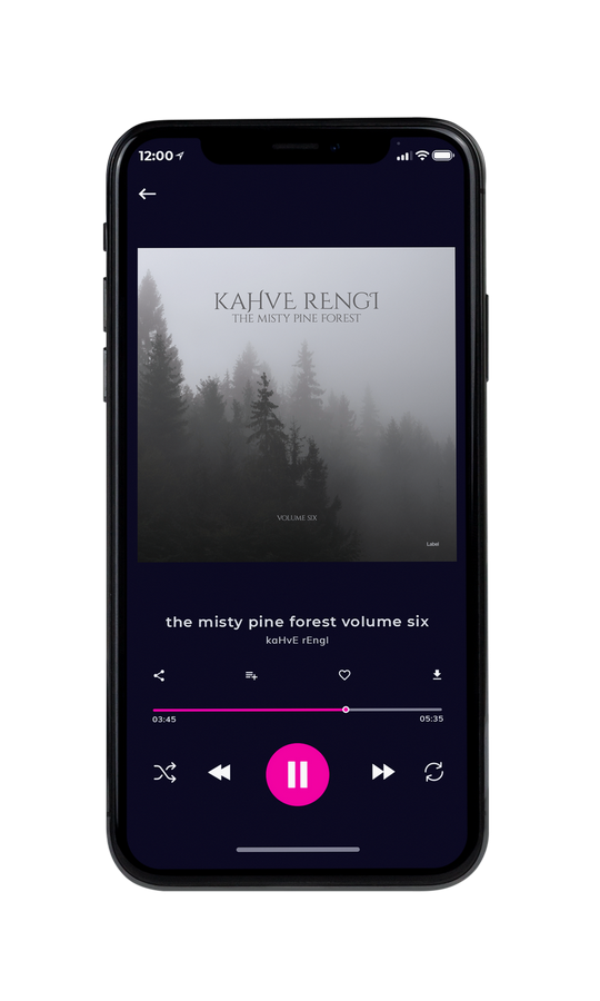 Tablet view of Premade Country & Acoustic Album Cover - Gray Nickel #7478 | AlbumArtZone*