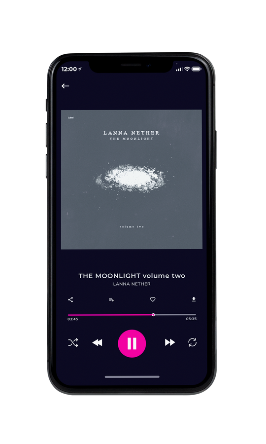 Tablet view of Premade Indie & Folk Music Album Cover - Shuttle Gray #7491 | AlbumArtZone*
