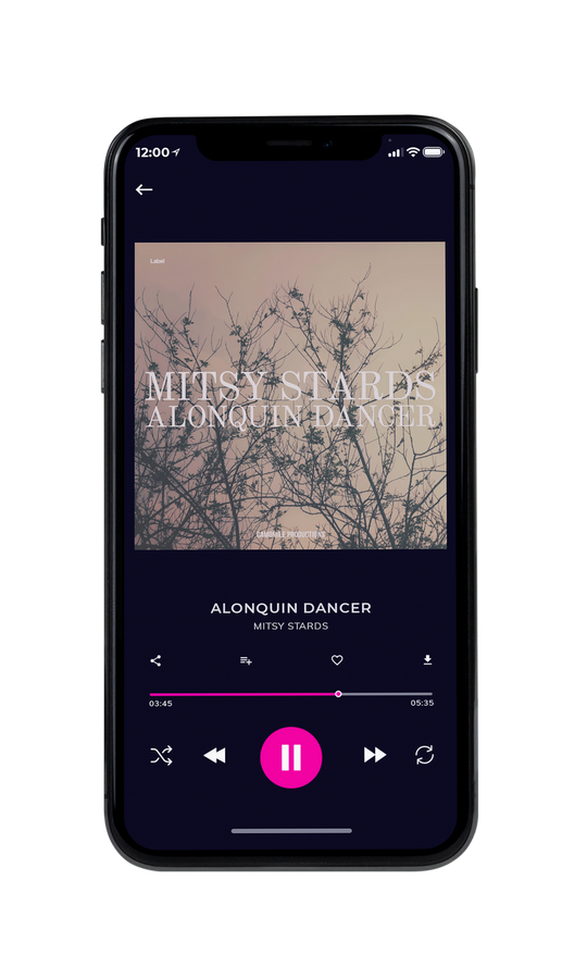 Tablet view of Premade Pop Album Cover - Napa #7515 | AlbumArtZone*
