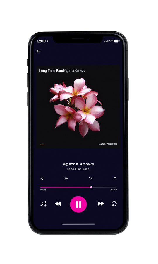 Tablet view of Premade Pop Album Cover - Oriental Pink #7535 | AlbumArtZone*