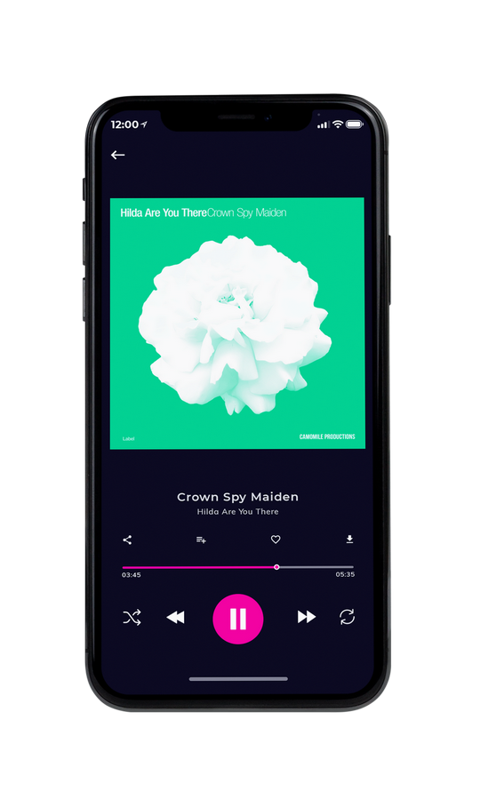 Tablet view of Premade Pop Album Cover - Shamrock #7536 | AlbumArtZone*