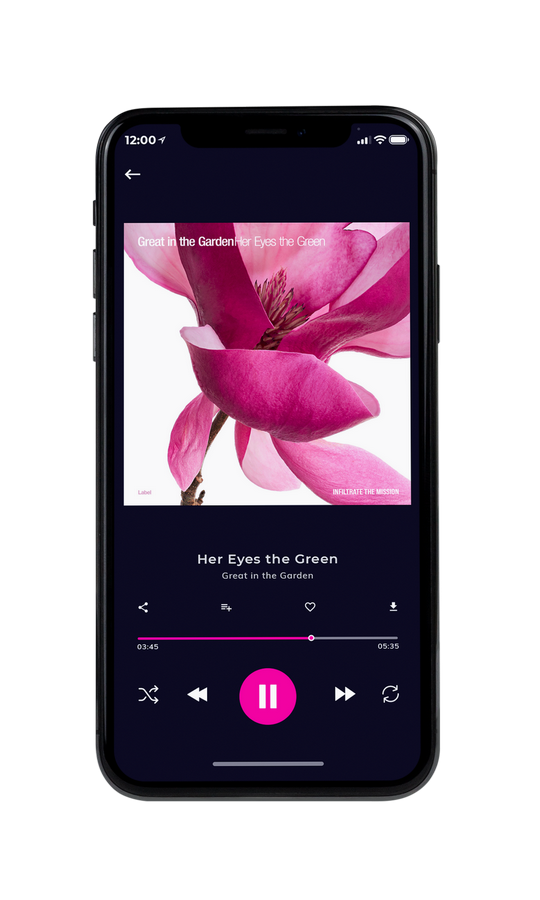 Tablet view of Premade Pop Album Cover - Cadillac #7538 | AlbumArtZone*