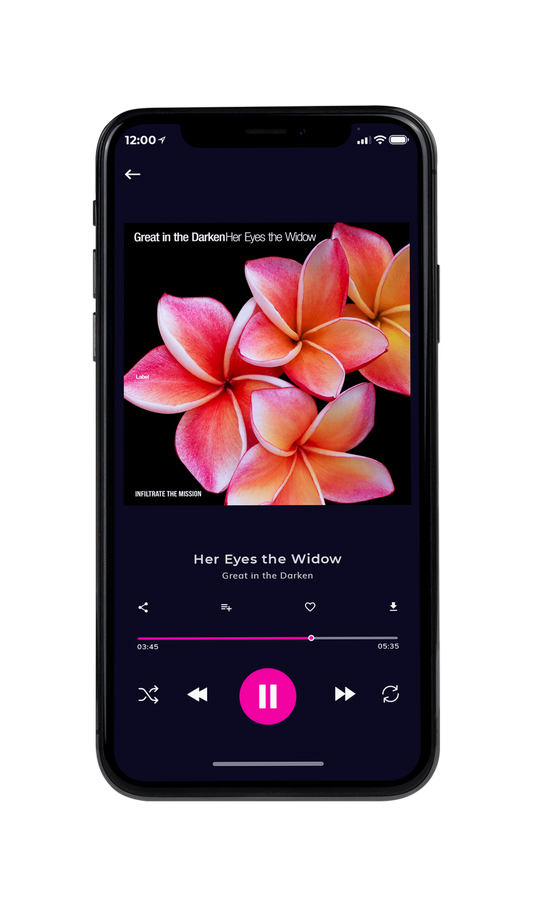 Tablet view of Premade Pop Album Cover - Black #7540 | AlbumArtZone*
