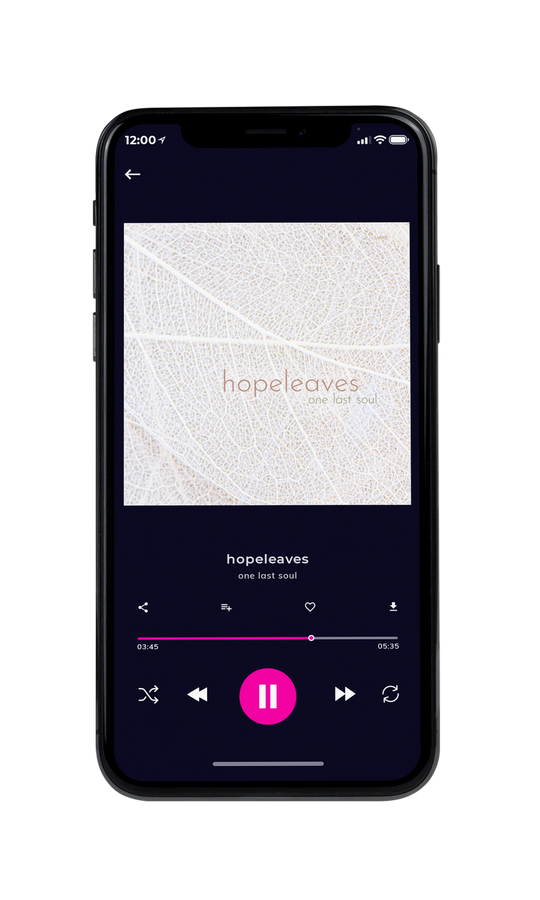 Tablet view of Premade Country & Acoustic Album Cover - Pampas #7630 | AlbumArtZone*