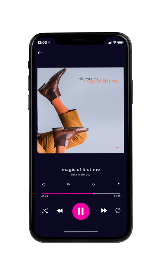 Tablet view of Premade Pop Album Cover - French Gray #7640 | AlbumArtZone*