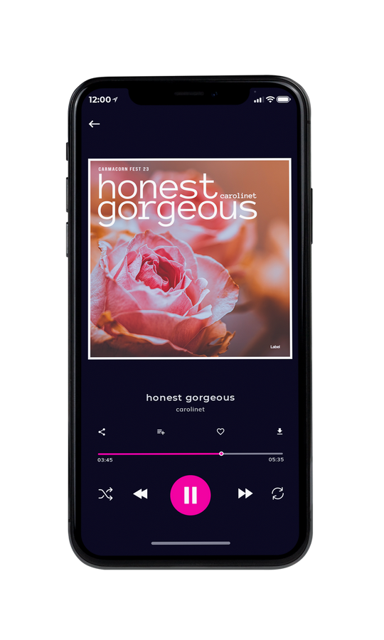 Tablet view of Premade Electronica & Ambient Book Cover - Turkish Rose #7713 | AlbumArtZone*