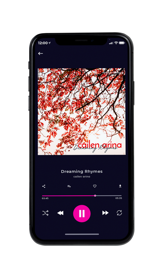 Tablet view of Premade Pop Album Cover - Sambuca #7811 | AlbumArtZone*