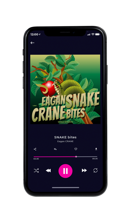 Tablet view of Premade Podcast Album Cover - Fern Green #7850 | AlbumArtZone*