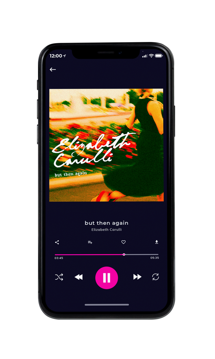 Tablet view of Premade Pop Album Cover - Dark Fern #8013 | AlbumArtZone*