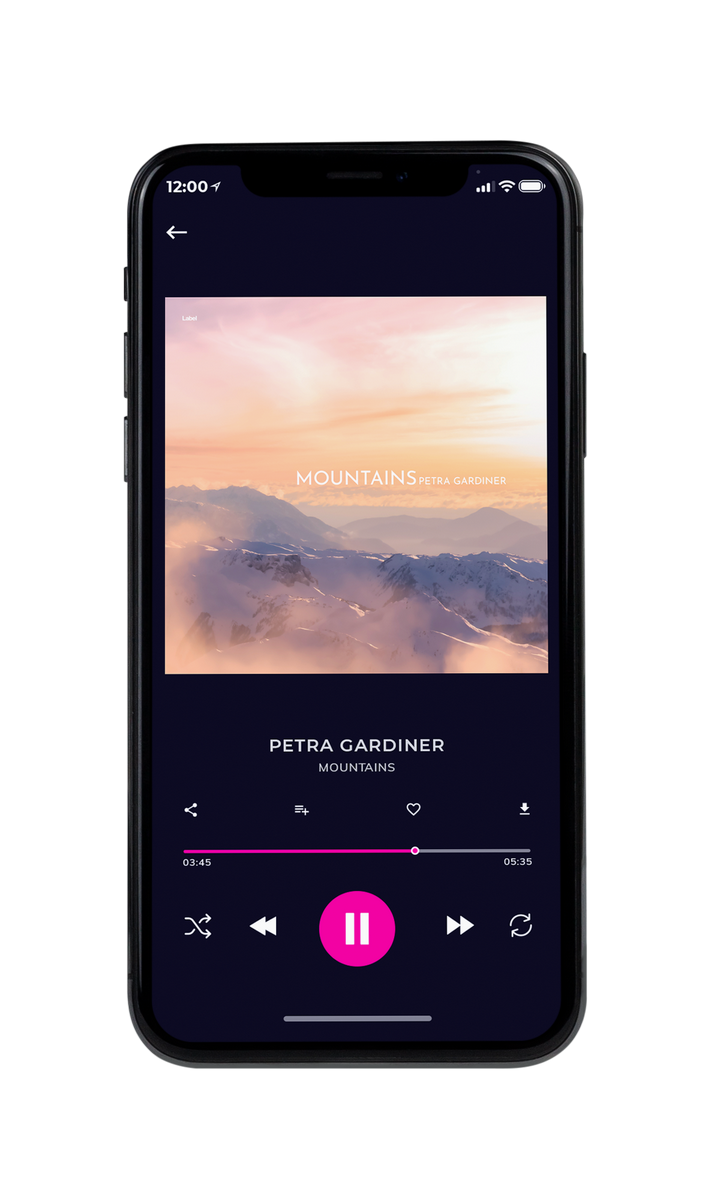 Tablet view of Premade Electronica & Ambient Album Cover - Pancho #8118 | AlbumArtZone*