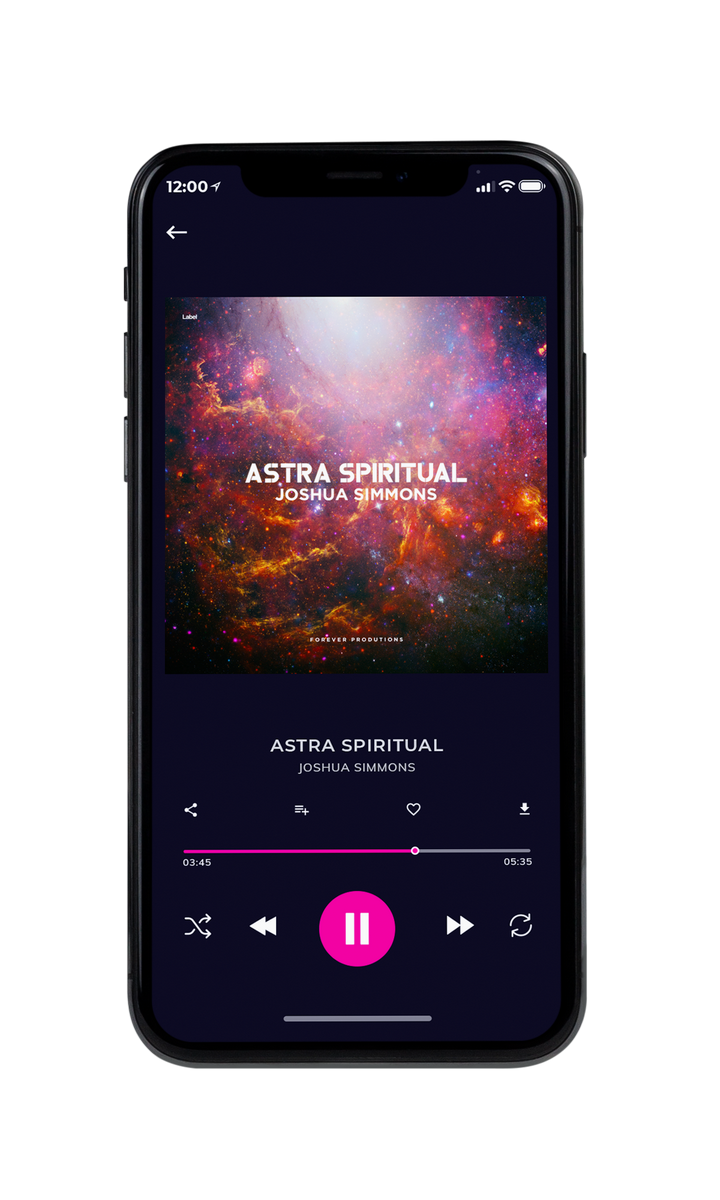 Tablet view of Premade EDM, House & Dub Album Cover - Woody Brown #8138 | AlbumArtZone*
