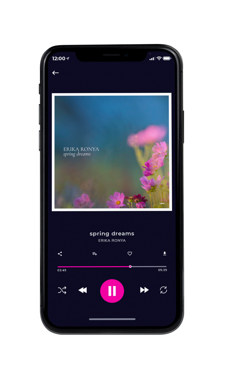 Tablet view of Premade Podcast Book Cover - Shuttle Gray #8231 | AlbumArtZone*