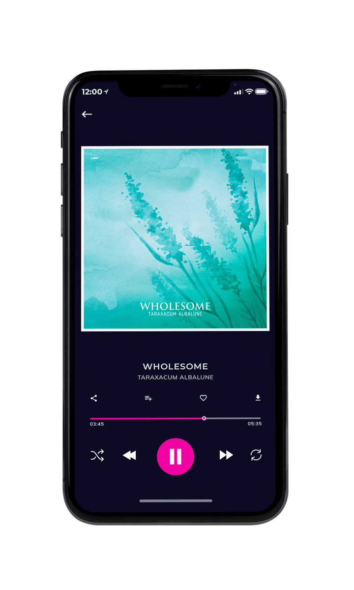 Tablet view of Premade Country & Acoustic Album Cover - Sinbad #8248 | AlbumArtZone*