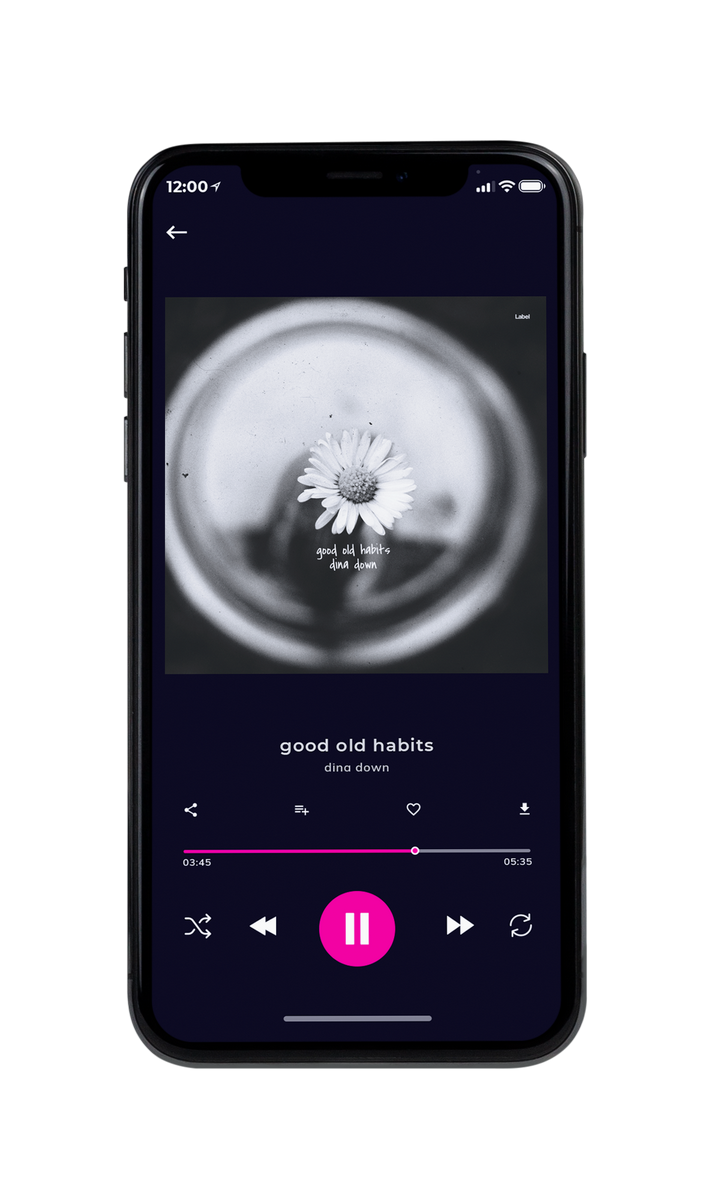 Tablet view of Premade Country & Acoustic Album Cover - Silver #8321 | AlbumArtZone*