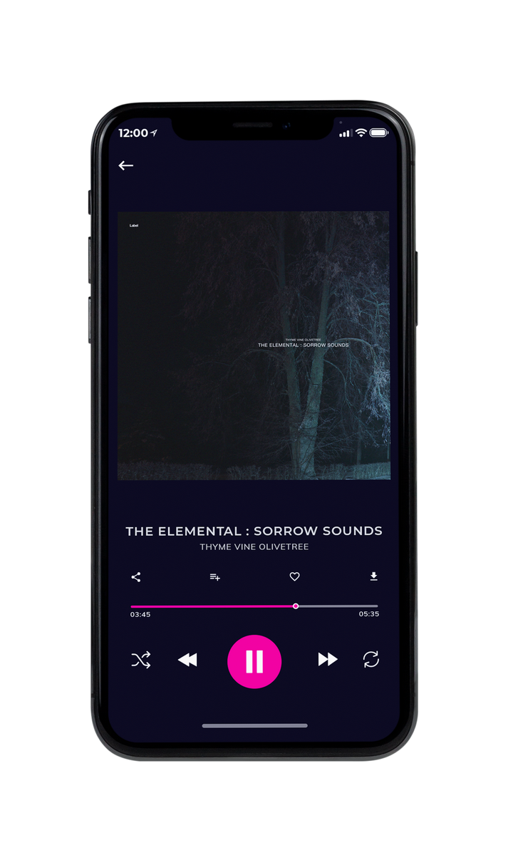 Tablet view of Premade Country & Acoustic Album Cover - Shark #8343 | AlbumArtZone*