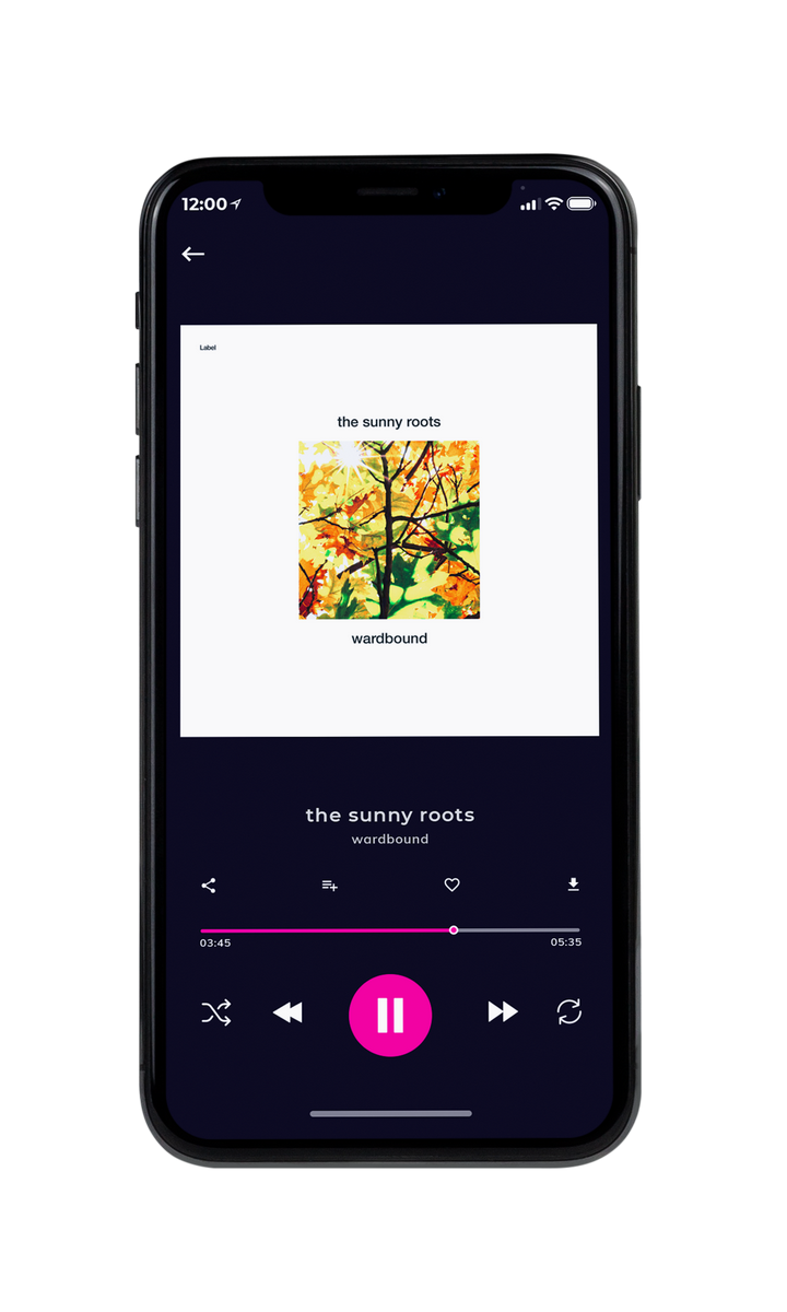 Tablet view of Premade Country & Acoustic Album Cover - Rob Roy #8373 | AlbumArtZone*