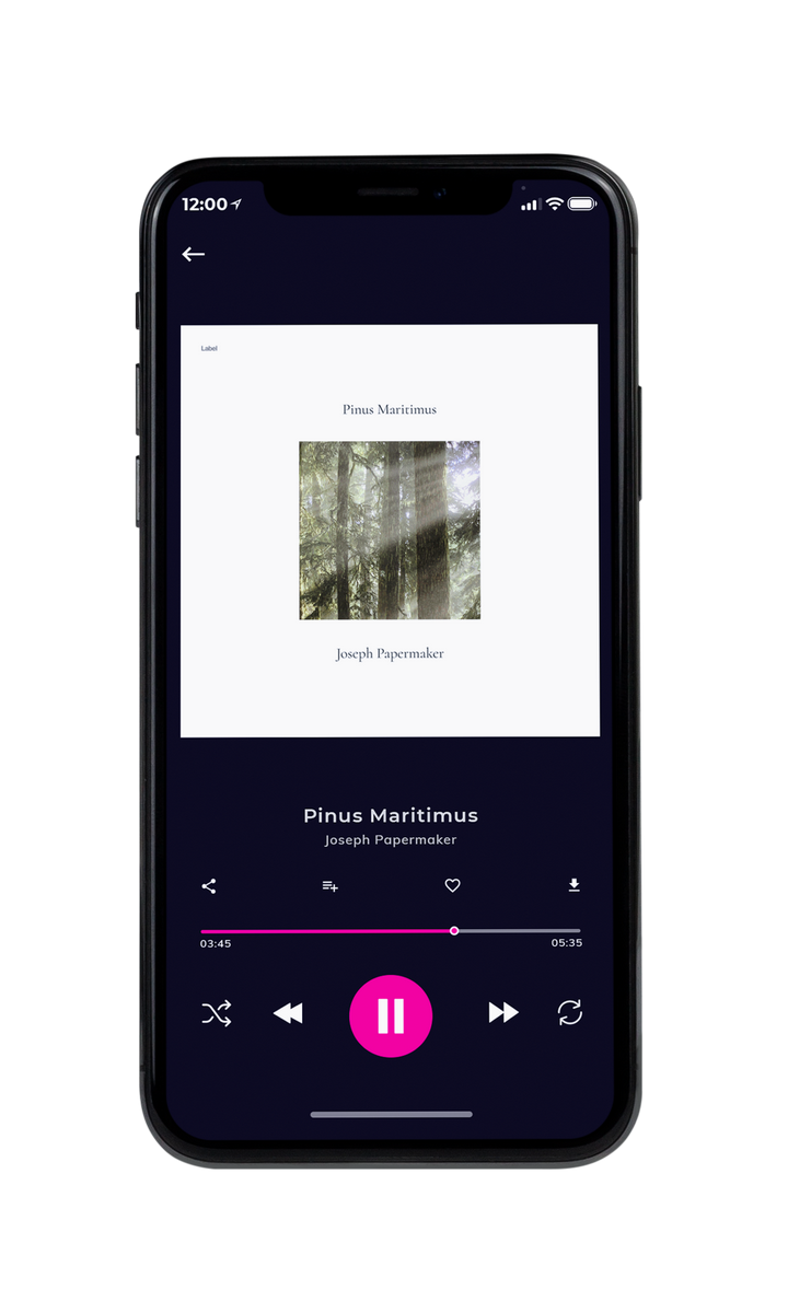 Tablet view of Premade Country & Acoustic Album Cover - Bandicoot #8378 | AlbumArtZone*