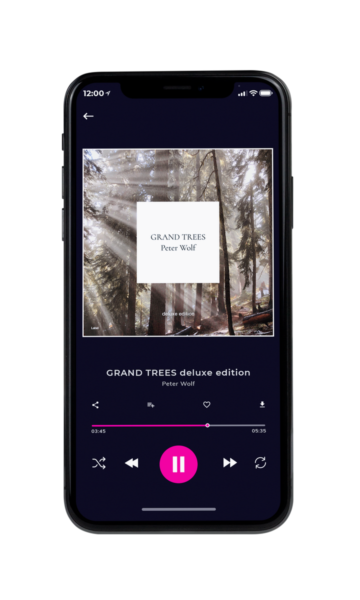 Tablet view of Premade Country & Acoustic Album Cover - Pale Oyster #8379 | AlbumArtZone*