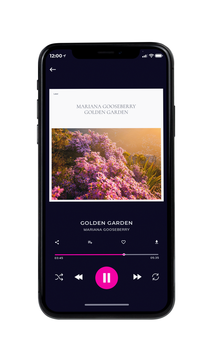 Tablet view of Premade Rock,Punk & Alternative Album Cover - Spicy Mix #8393 | AlbumArtZone*