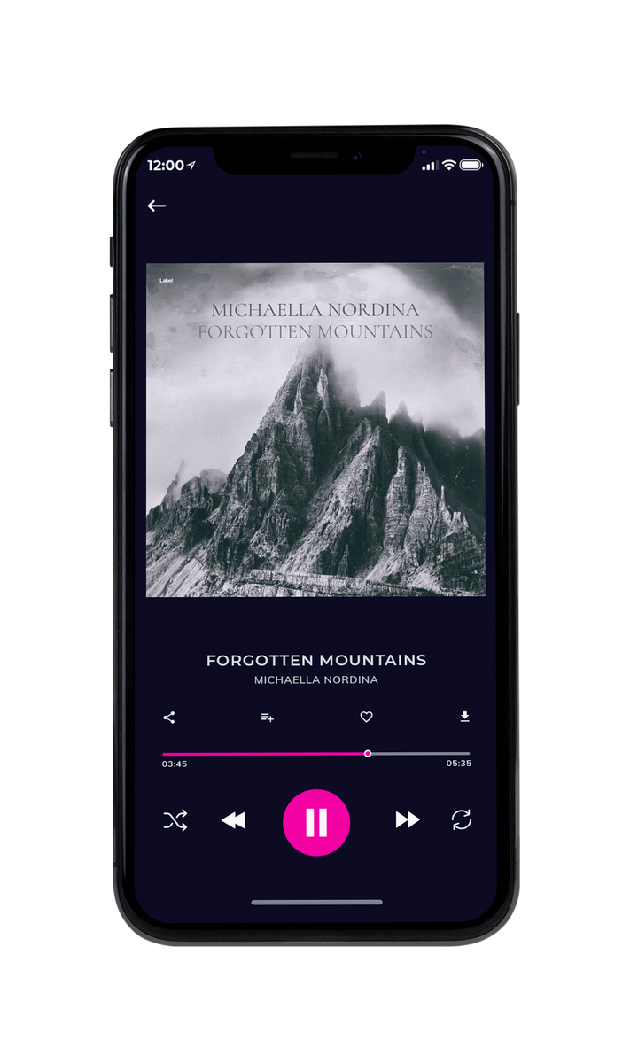 Tablet view of Premade Country & Acoustic Album Cover - Silver #8396 | AlbumArtZone*