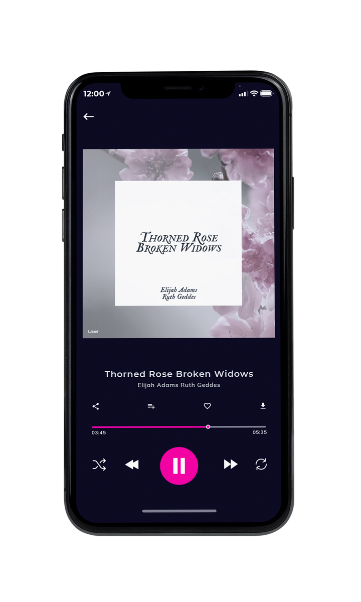 Tablet view of Premade Pop Album Cover - Shady Lady #8425 | AlbumArtZone*
