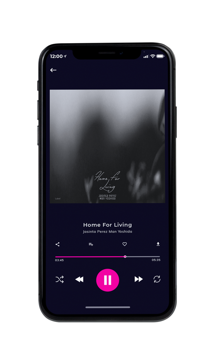 Tablet view of Premade Indie & Folk Music Album Cover - Silver Chalice #8479 | AlbumArtZone*