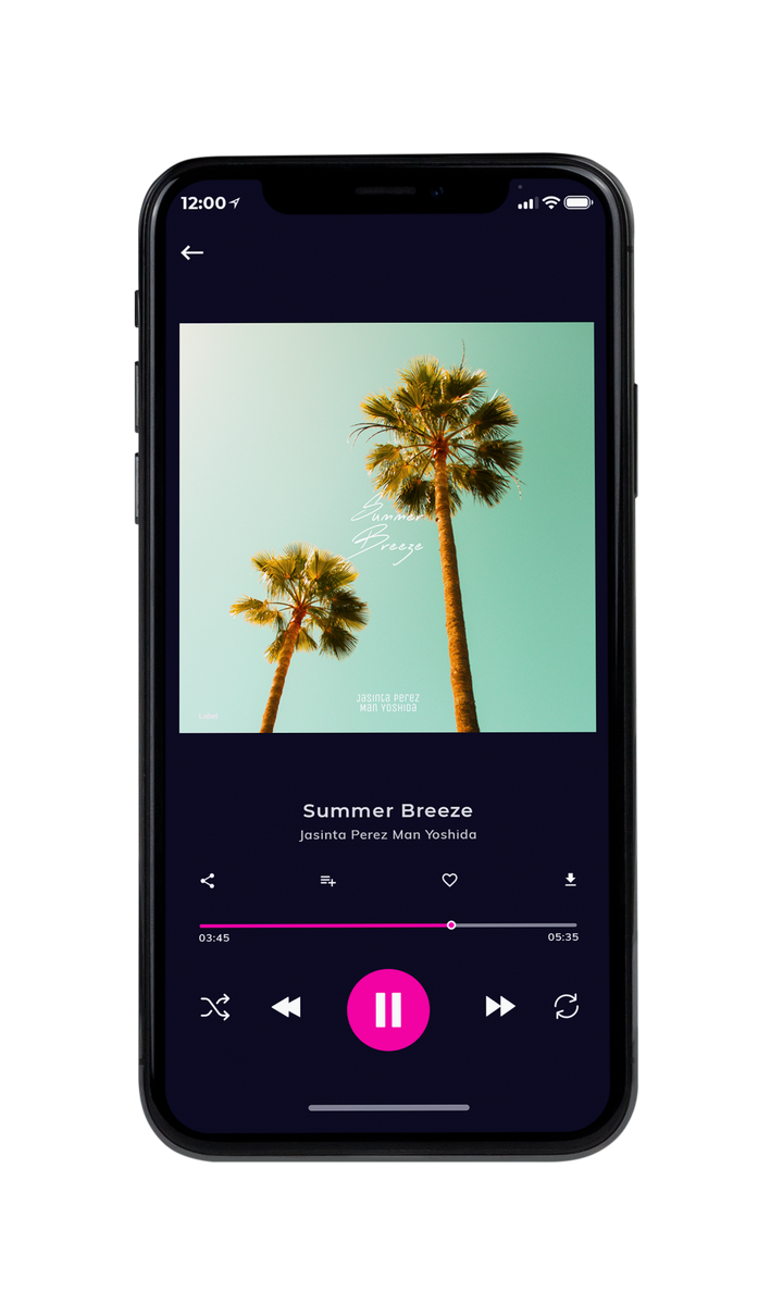 Tablet view of Premade Country & Acoustic Album Cover - Surf #8481 | AlbumArtZone*