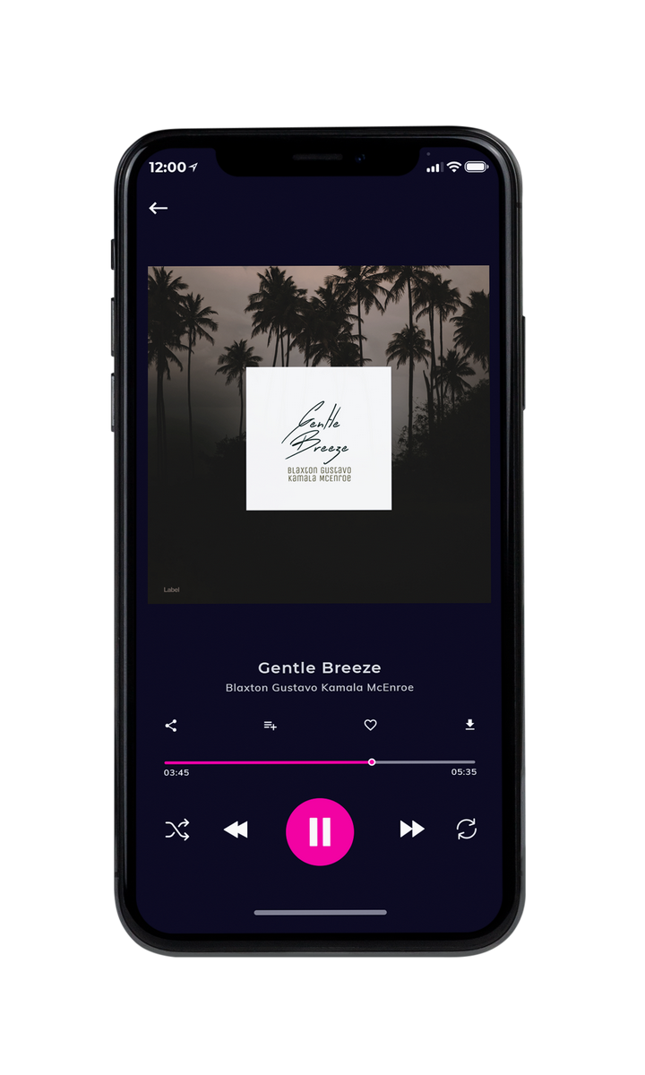 Tablet view of Premade Summer Hits Album Cover - Rangoon Green #8485 | AlbumArtZone*