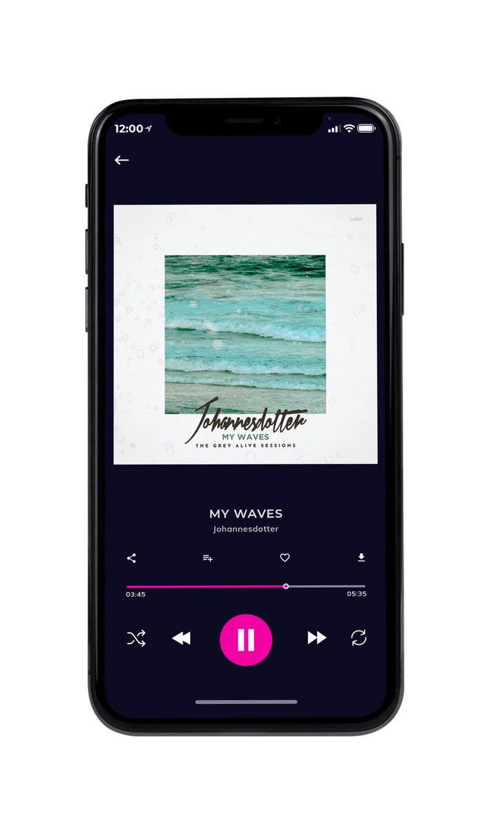 Tablet view of Premade Country & Acoustic Album Cover - Gray Nurse #8620 | AlbumArtZone*
