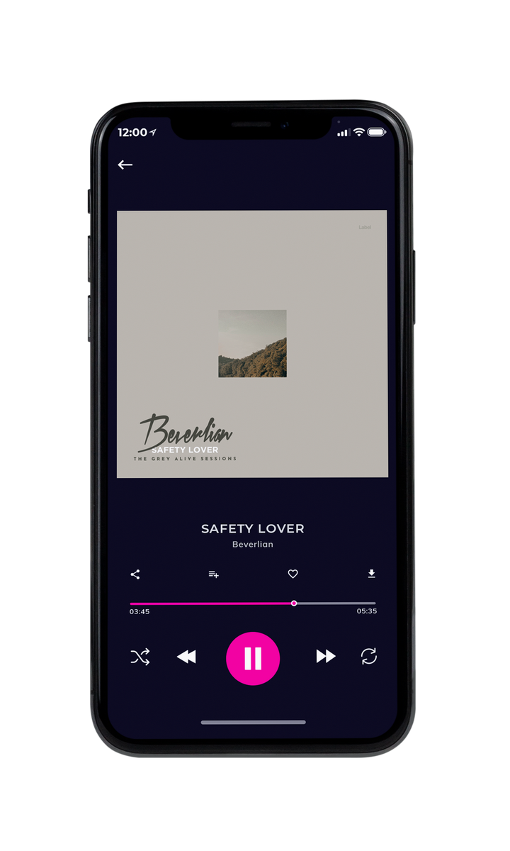 Tablet view of Premade Pop Album Cover - Bison Hide #8627 | AlbumArtZone*