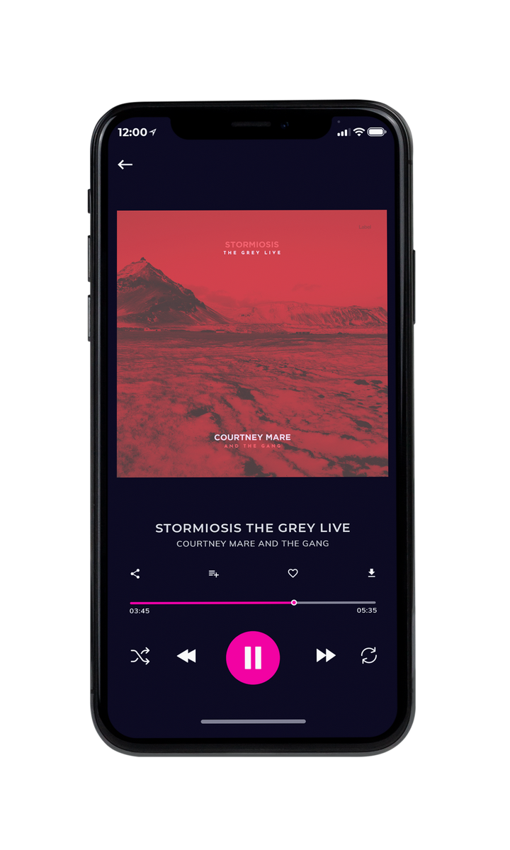 Tablet view of Premade Pop Album Cover - Copper Rust #8654 | AlbumArtZone*
