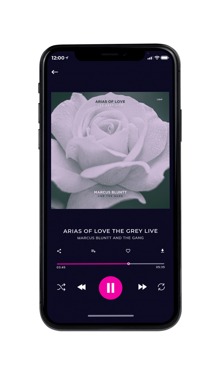 Tablet view of Premade Pop Album Cover - Shady Lady #8663 | AlbumArtZone*