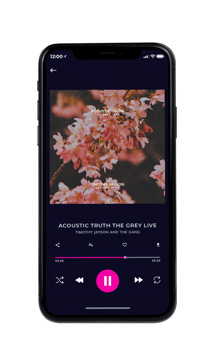 Tablet view of Premade Pop Album Cover - Leather #8672 | AlbumArtZone*