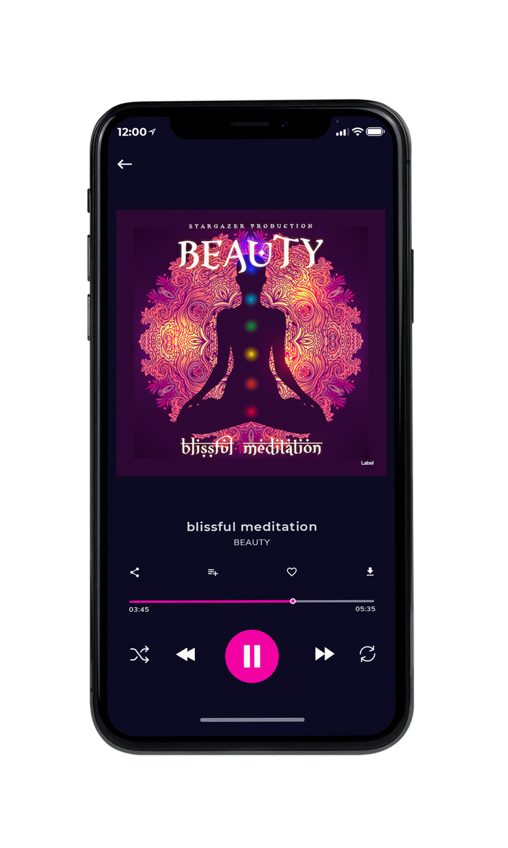 Tablet view of Premade Contemporary Music Album Cover - Valentino #8698 | AlbumArtZone*