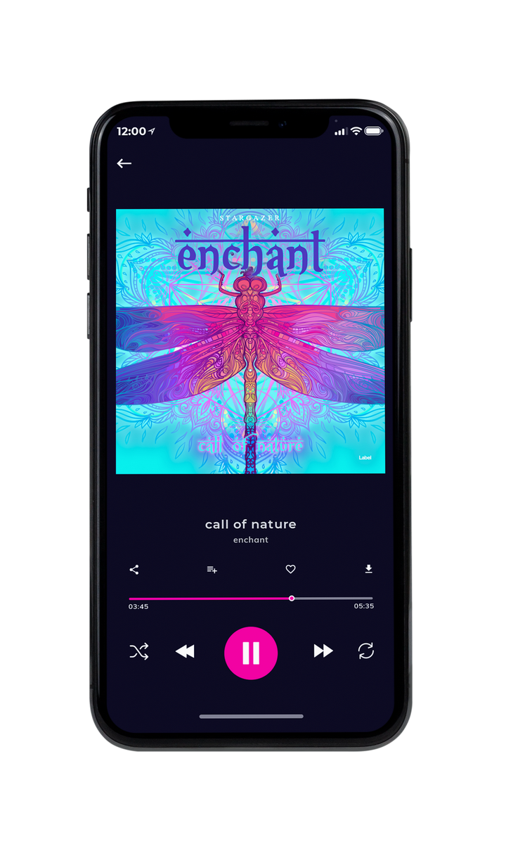 Tablet view of Premade Contemporary Music Album Cover - Seagull #8706 | AlbumArtZone*