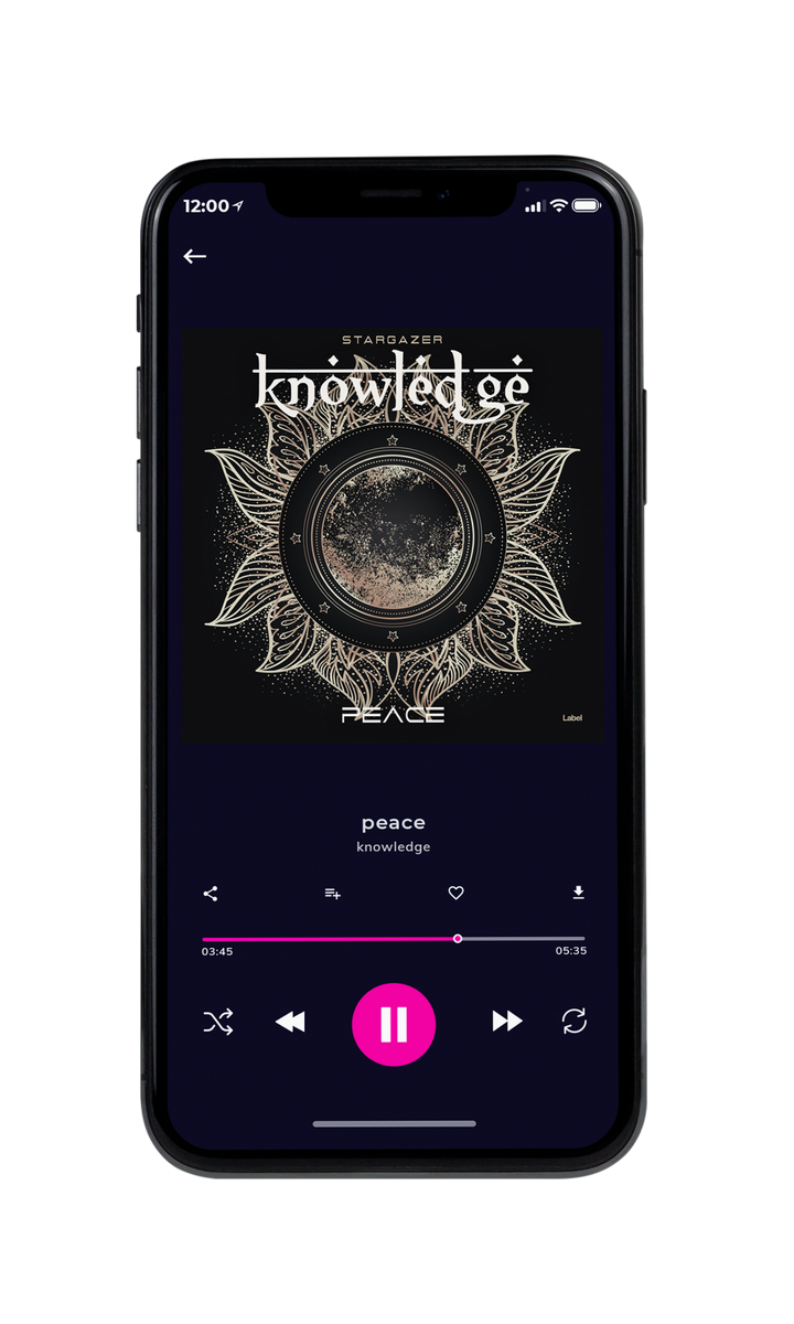 Tablet view of Premade Contemporary Music Album Cover - Bison Hide #8715 | AlbumArtZone*
