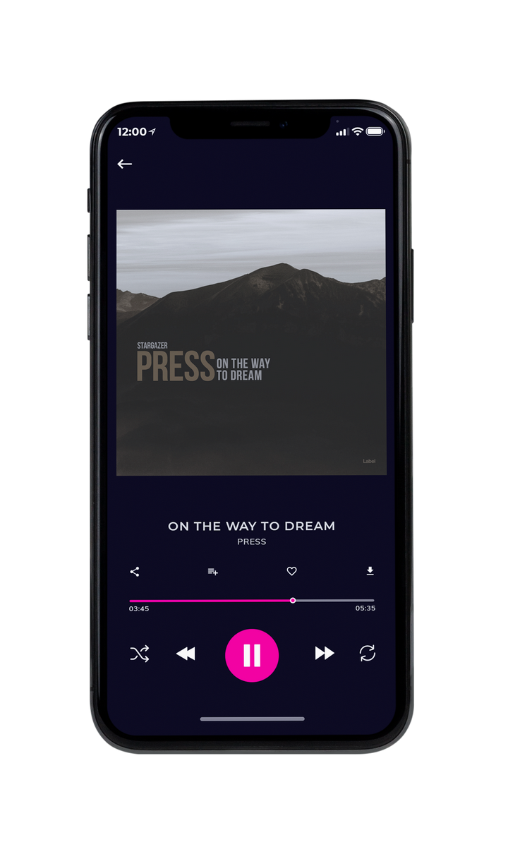 Tablet view of Premade Pop Album Cover - Gray Nickel #8736 | AlbumArtZone*