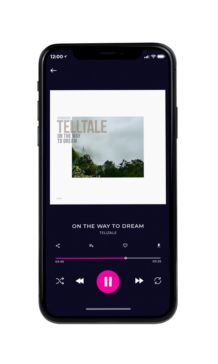 Tablet view of Premade Pop Album Cover - Pumice #8738 | AlbumArtZone*