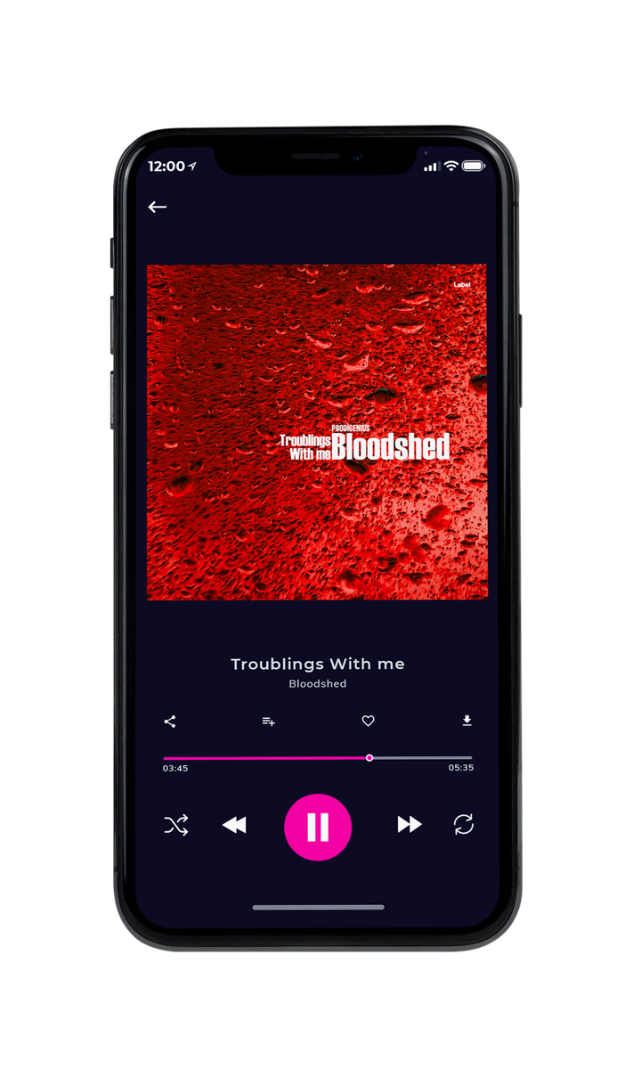 Tablet view of Premade Hip-hop, Rap & Trap Album Cover - Totem Pole #8768 | AlbumArtZone*