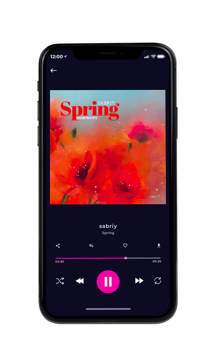 Tablet view of Premade Contemporary Music Album Cover - Valencia #8810 | AlbumArtZone*