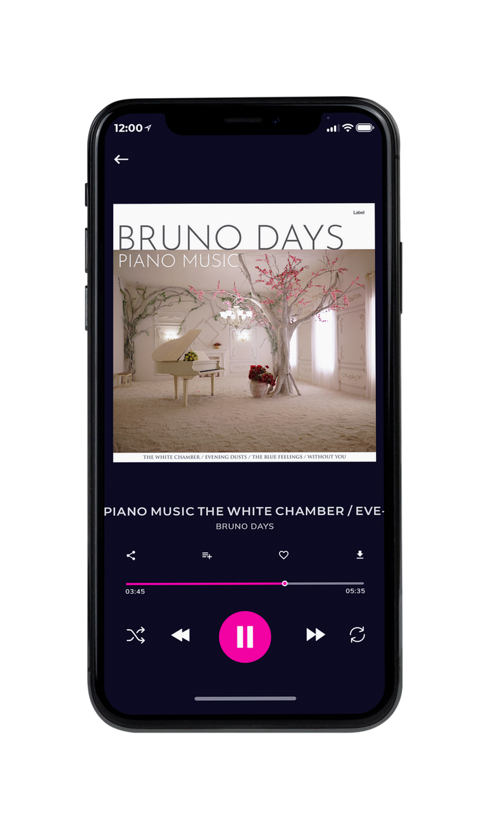 Tablet view of Premade Pop Album Cover - Donkey Brown #8832 | AlbumArtZone*