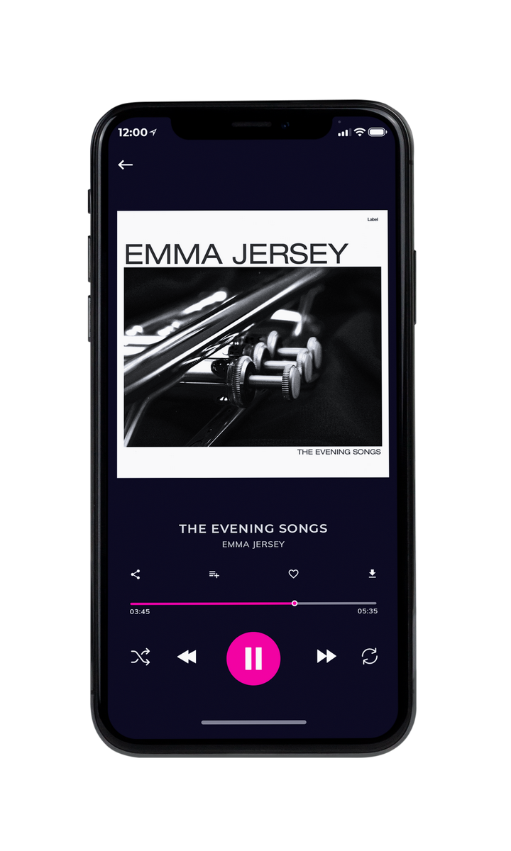 Tablet view of Premade Traditional Jazz & Blues Album Cover - Cod Gray #8843 | AlbumArtZone*