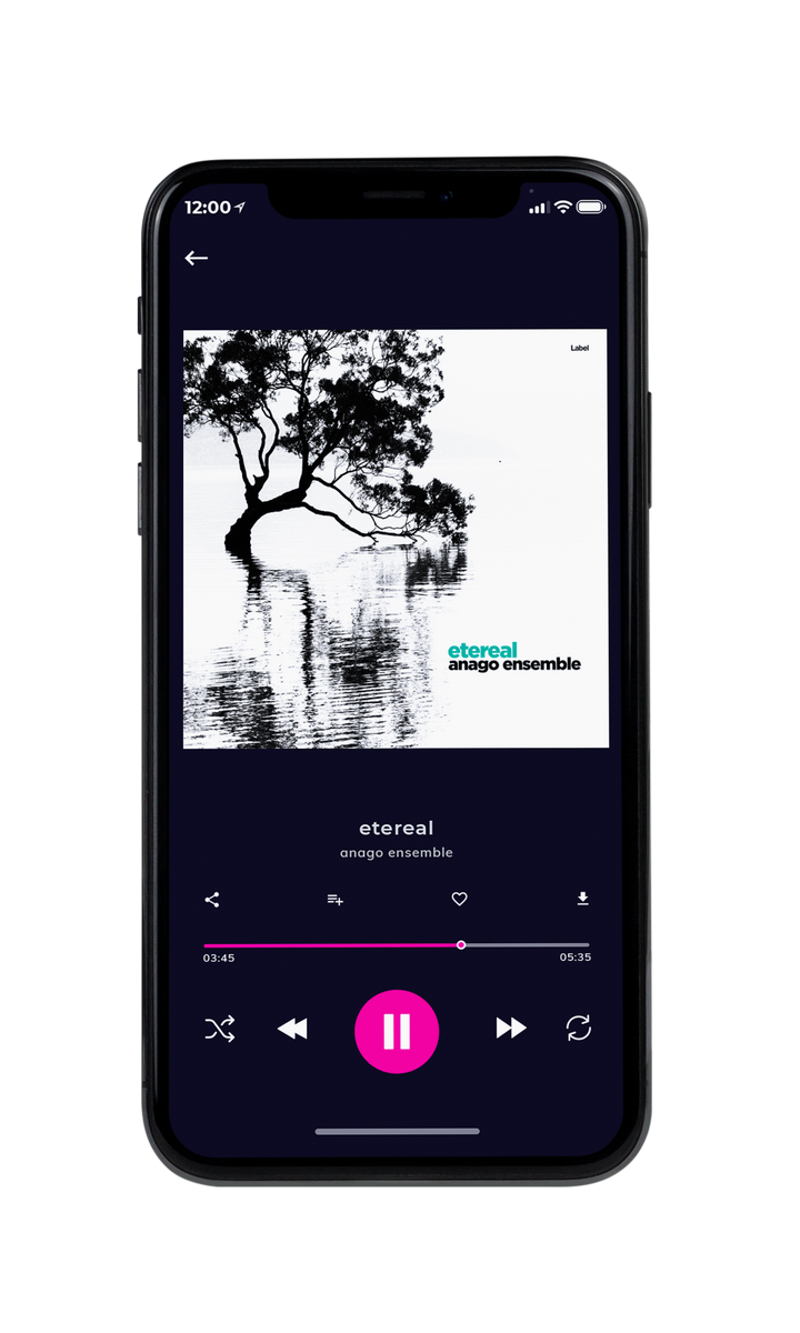 Tablet view of Premade Contemporary Music Album Cover - Gallery #8895 | AlbumArtZone*