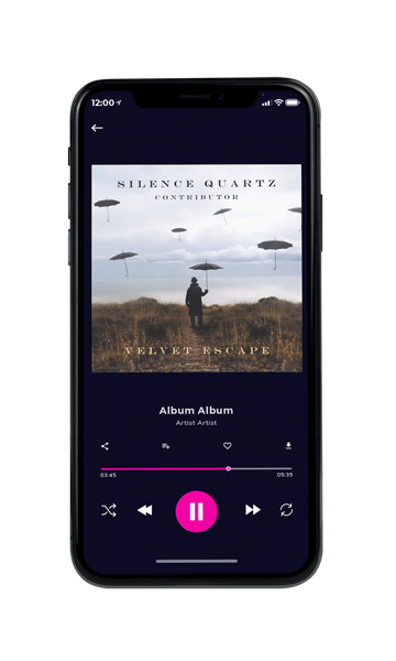 Tablet view of Premade Country & Acoustic Book Cover - Armadillo #11036 | AlbumArtZone*