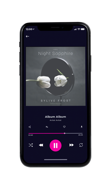 Tablet view of Premade Contemporary Music Album Cover - Nandor #11306 | AlbumArtZone*
