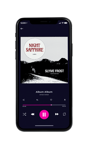 Tablet view of Premade Pop Album Cover - Night Rider #11322 | AlbumArtZone*