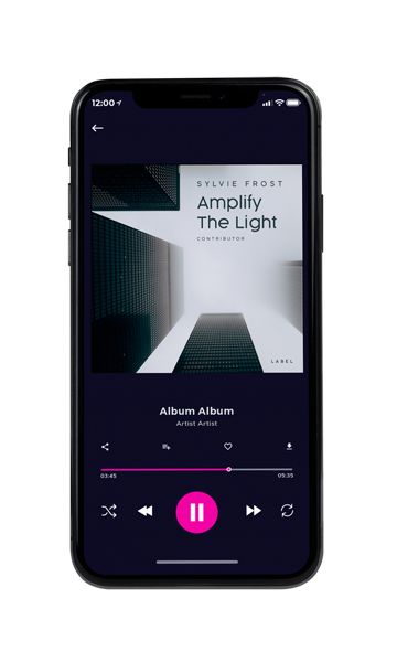 Tablet view of Premade Contemporary Music Album Cover - Gray Nickel #11367 | AlbumArtZone*