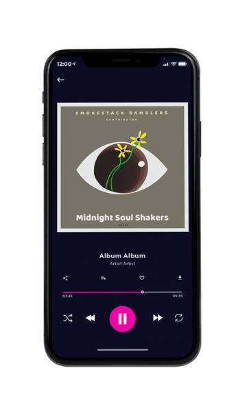 Tablet view of Premade Contemporary Music Album Cover - Pablo #11490 | AlbumArtZone*